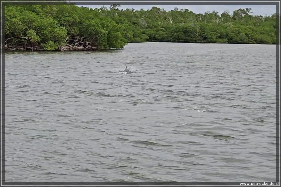 TenTousandIslands_2024_031