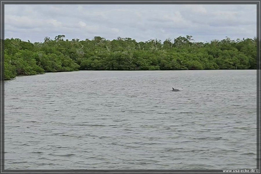 TenTousandIslands_2024_032