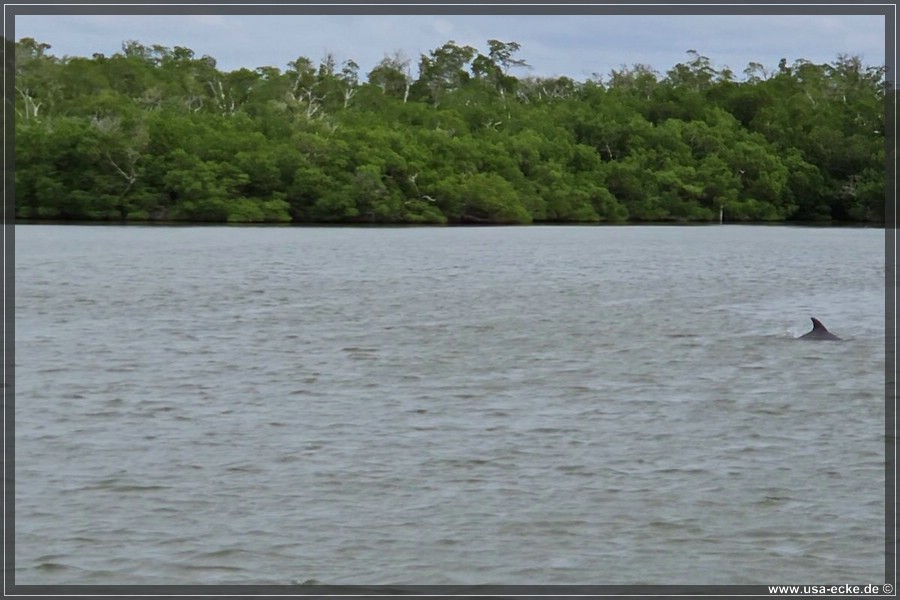 TenTousandIslands_2024_033