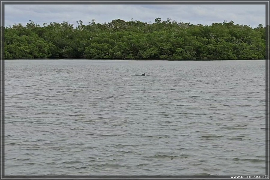TenTousandIslands_2024_034