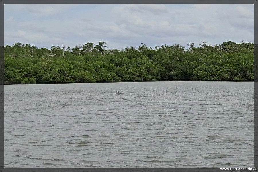 TenTousandIslands_2024_035