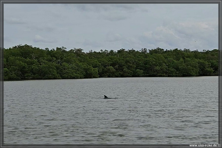 TenTousandIslands_2024_037