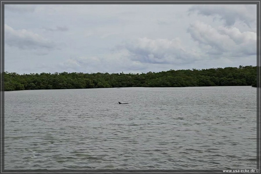TenTousandIslands_2024_038