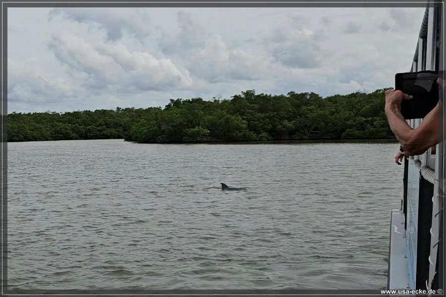 TenTousandIslands_2024_039