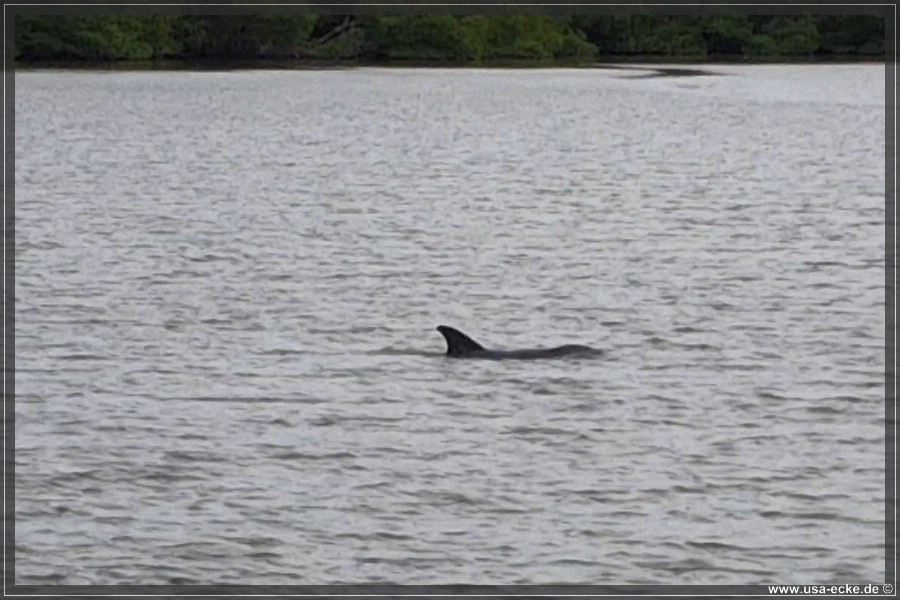 TenTousandIslands_2024_041