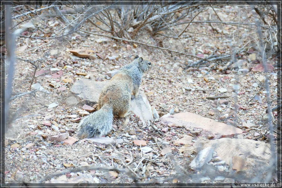 Apache_Trail_15_108