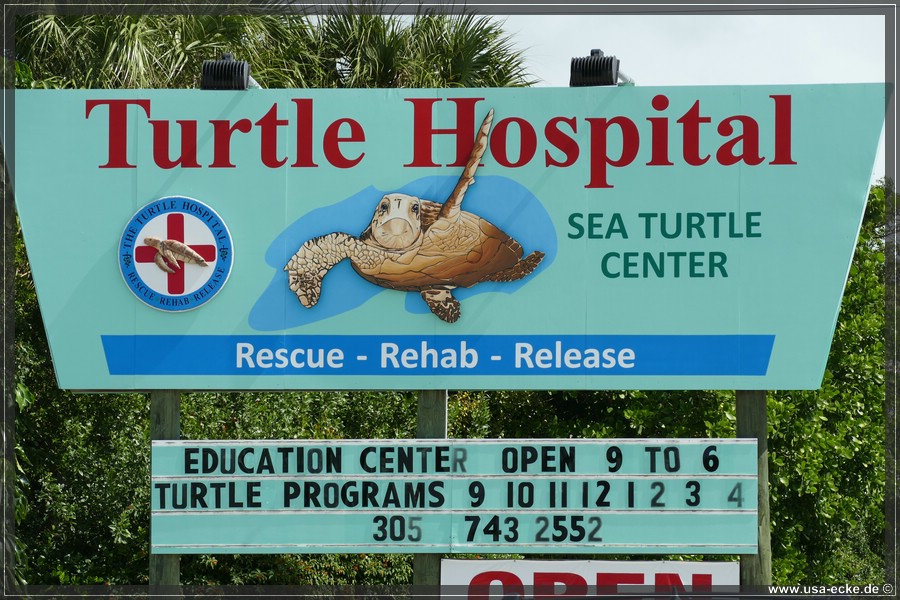 Turtle_Hospital_2024_001