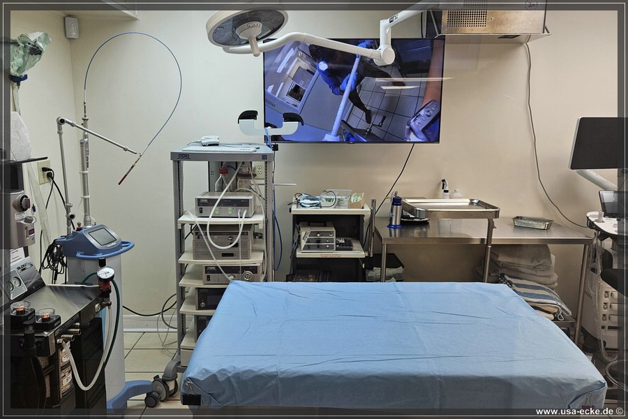 Turtle_Hospital_2024_007