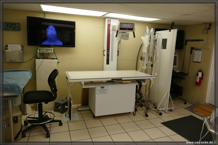 Turtle_Hospital_2024_008