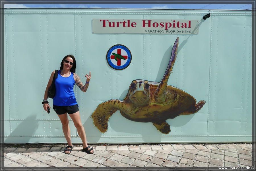 Turtle_Hospital_2024_010