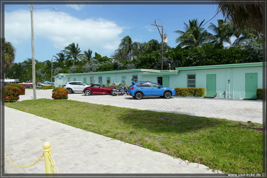 Turtle_Hospital_2024_018