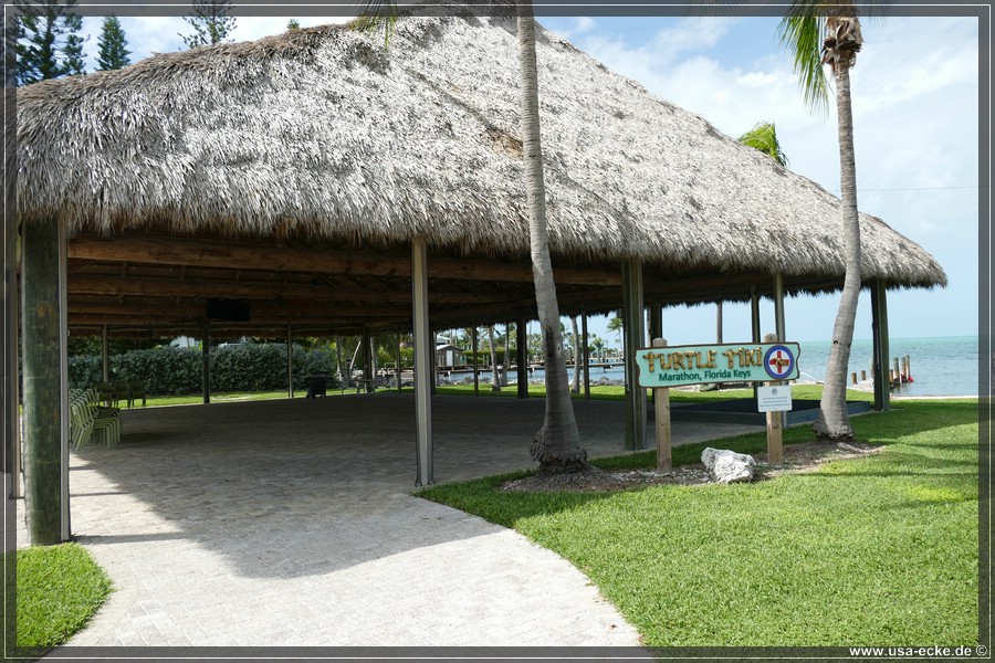 Turtle_Hospital_2024_020