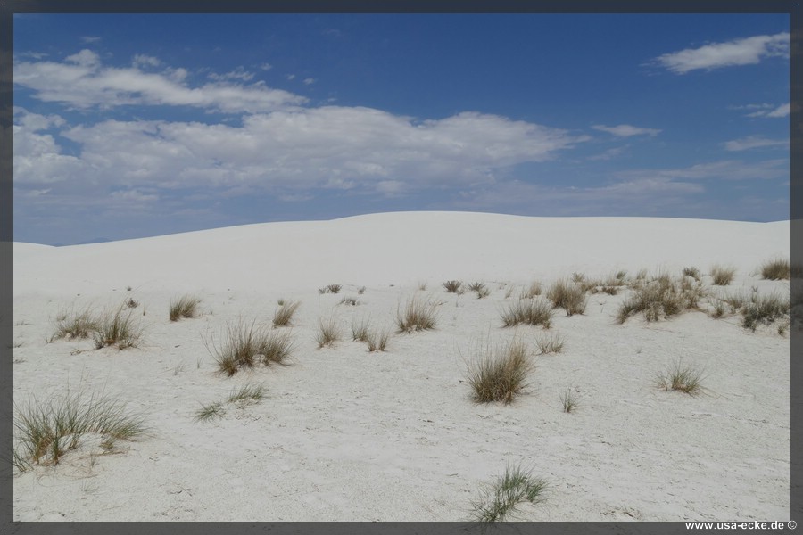 whitesands_011