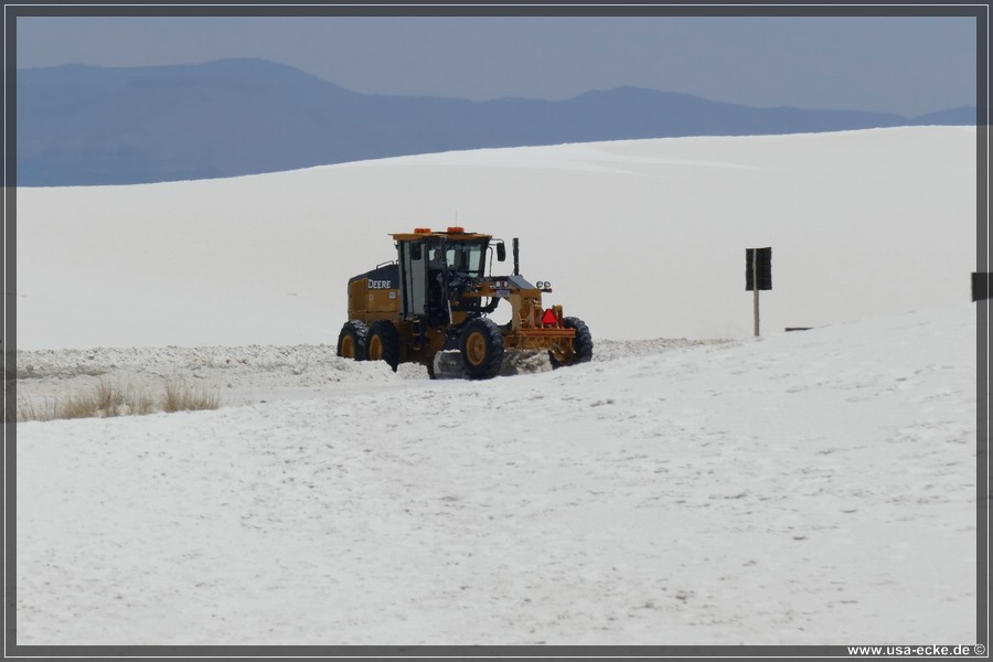 whitesands_013