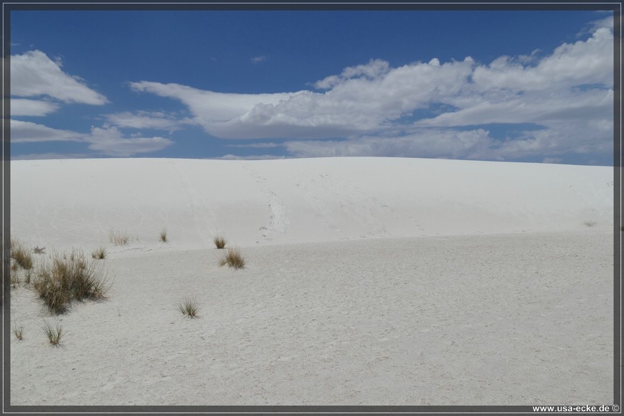 whitesands_014