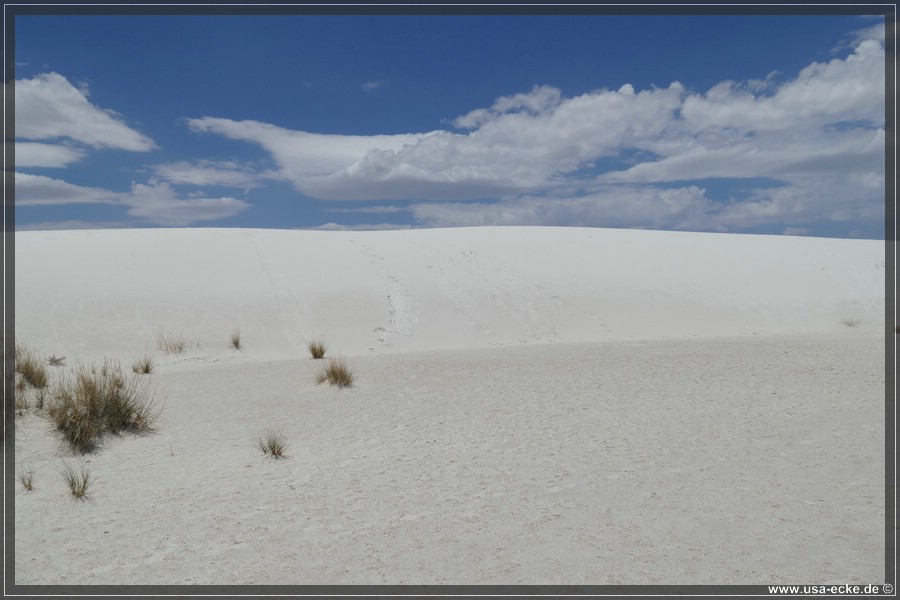 whitesands_014