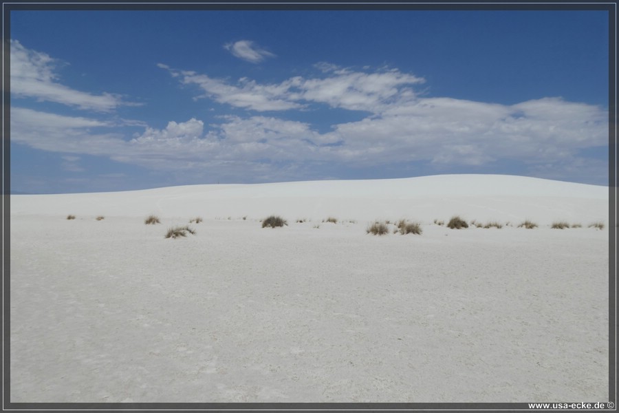 whitesands_015