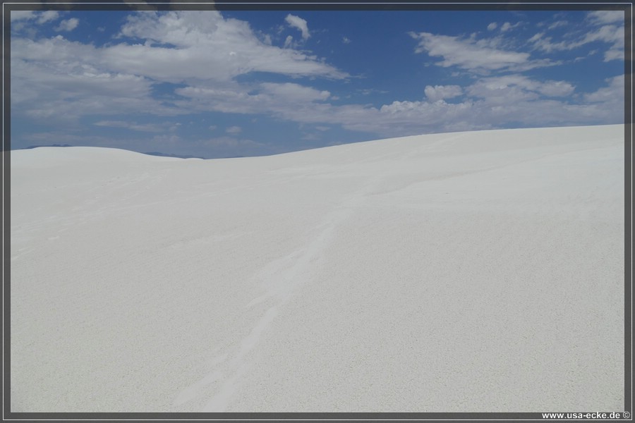 whitesands_016