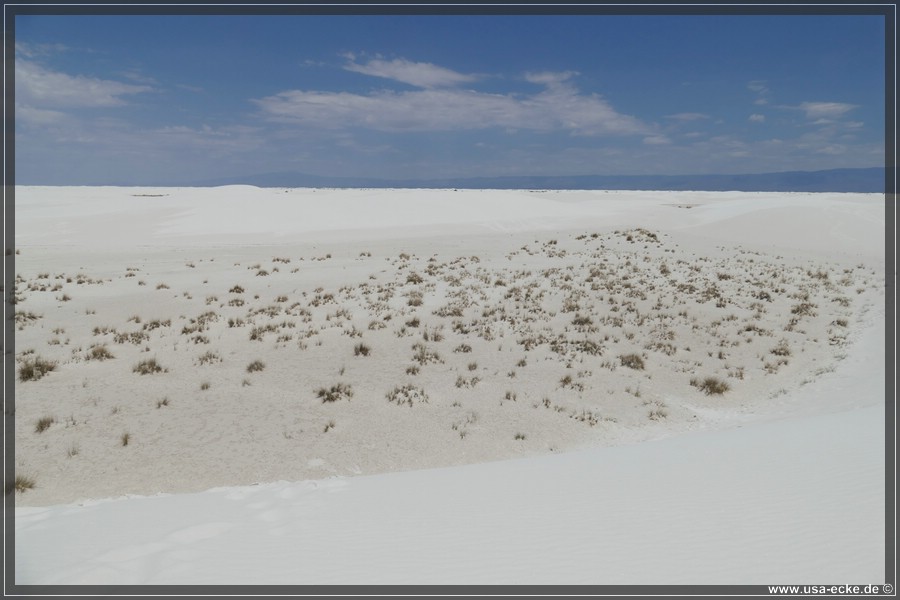 whitesands_017