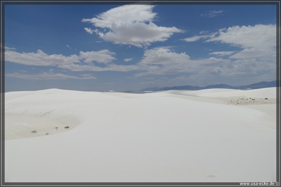 whitesands_021