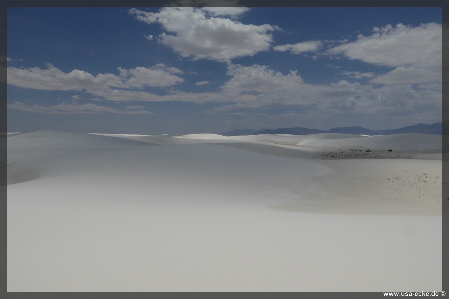 whitesands_022