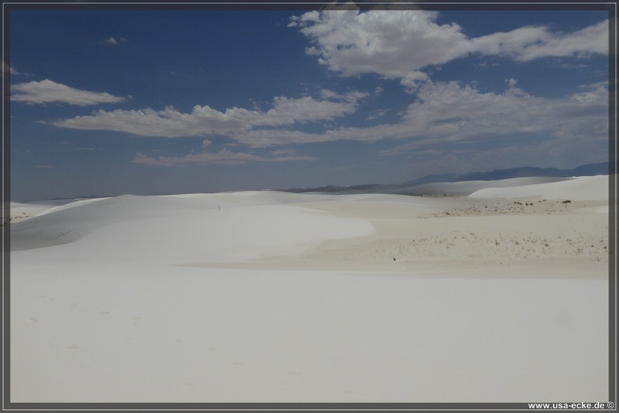 whitesands_024