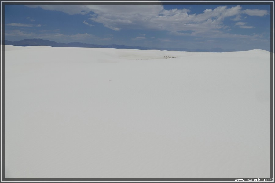 whitesands_026