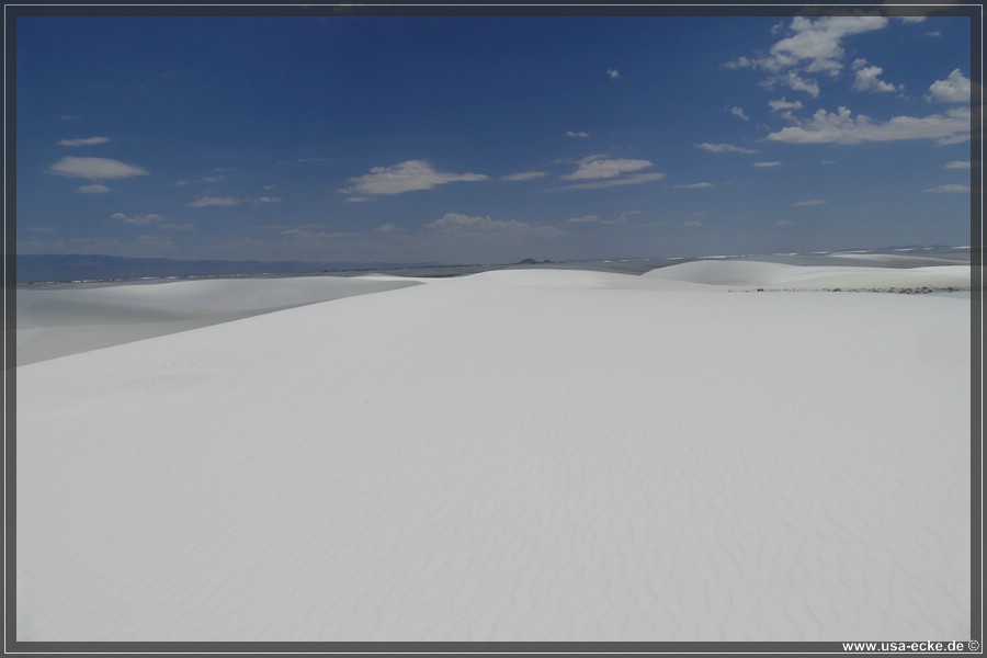 whitesands_028