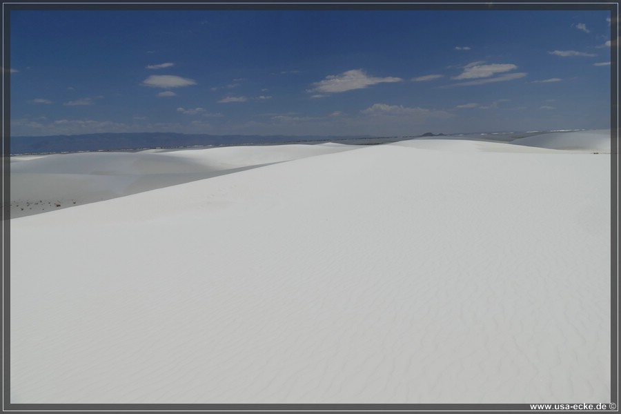 whitesands_029