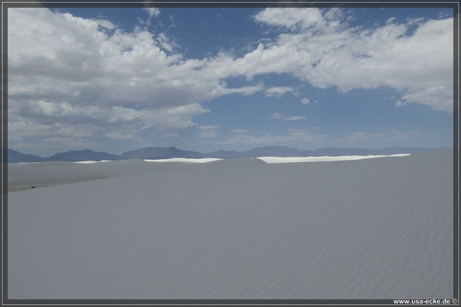 whitesands_030