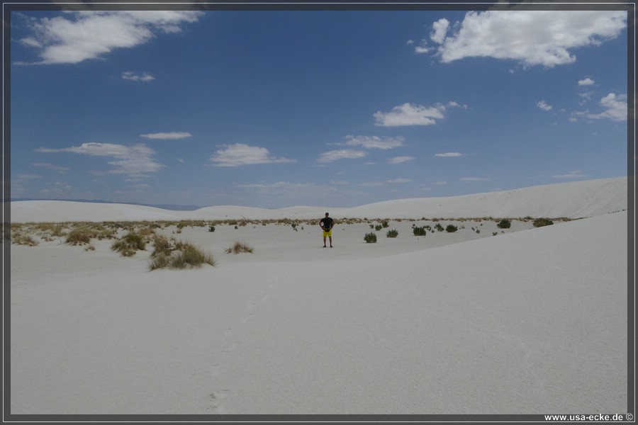 whitesands_035