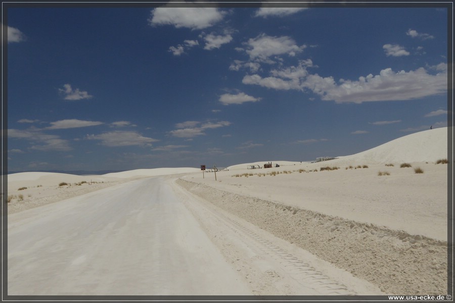 whitesands_037