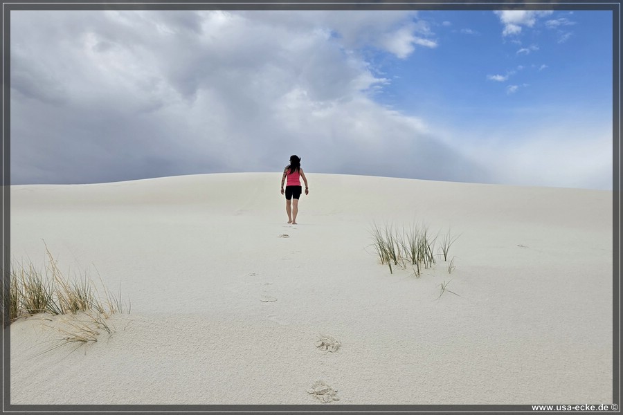 White_Sands_2026_022