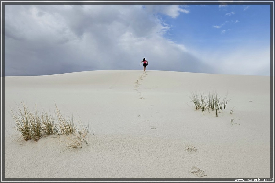 White_Sands_2026_024