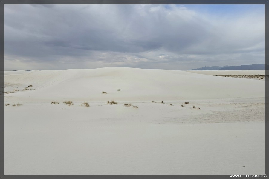 White_Sands_2026_029