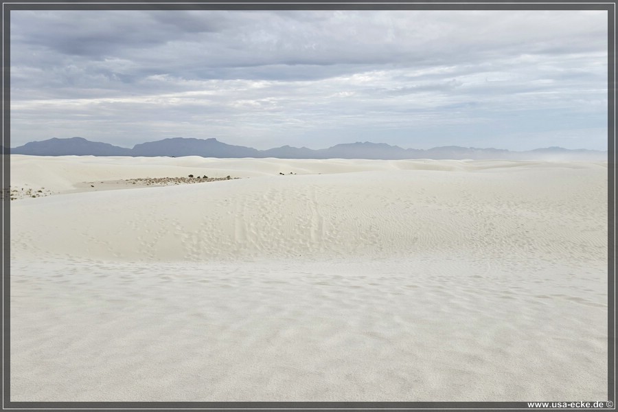 White_Sands_2026_030