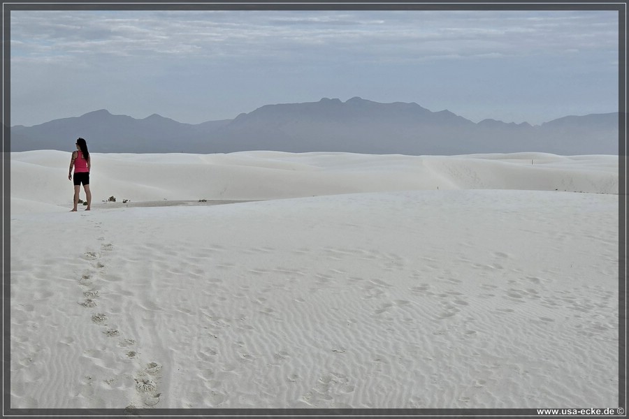 White_Sands_2026_031
