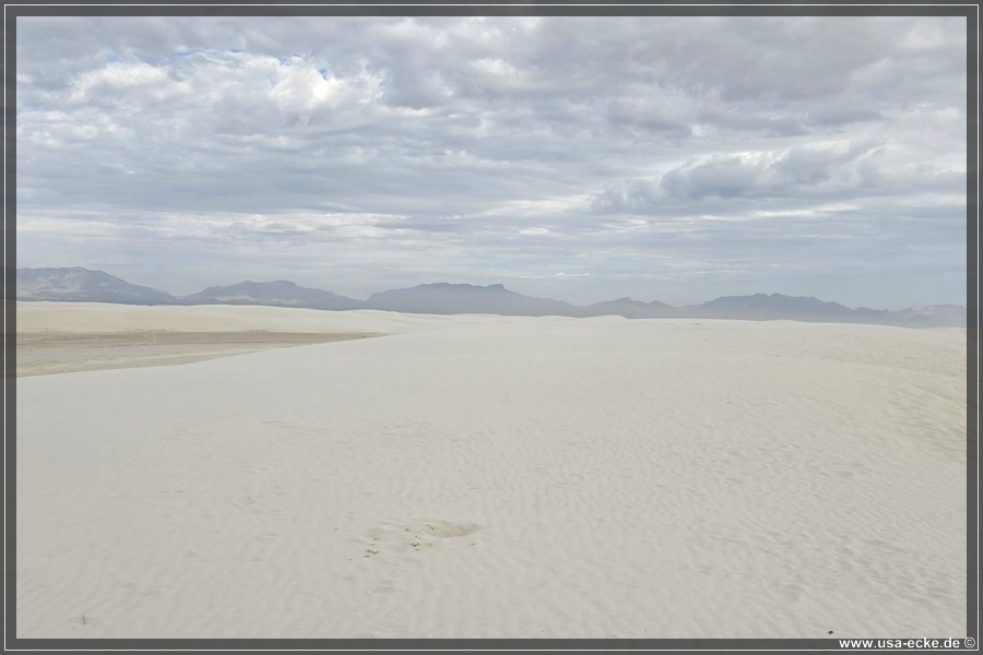 White_Sands_2026_035