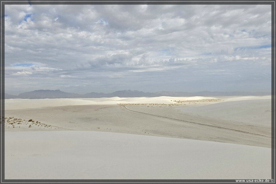 White_Sands_2026_039