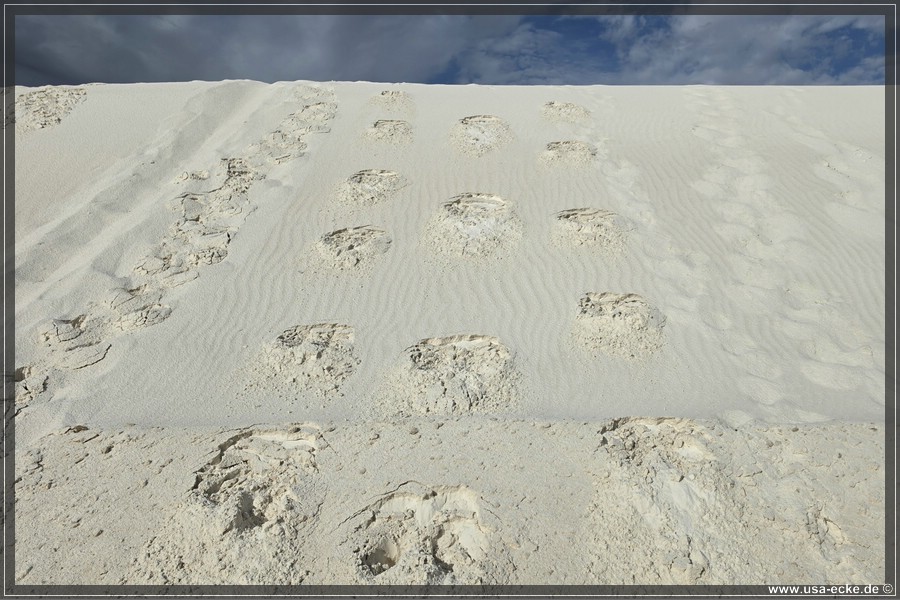 White_Sands_2026_059