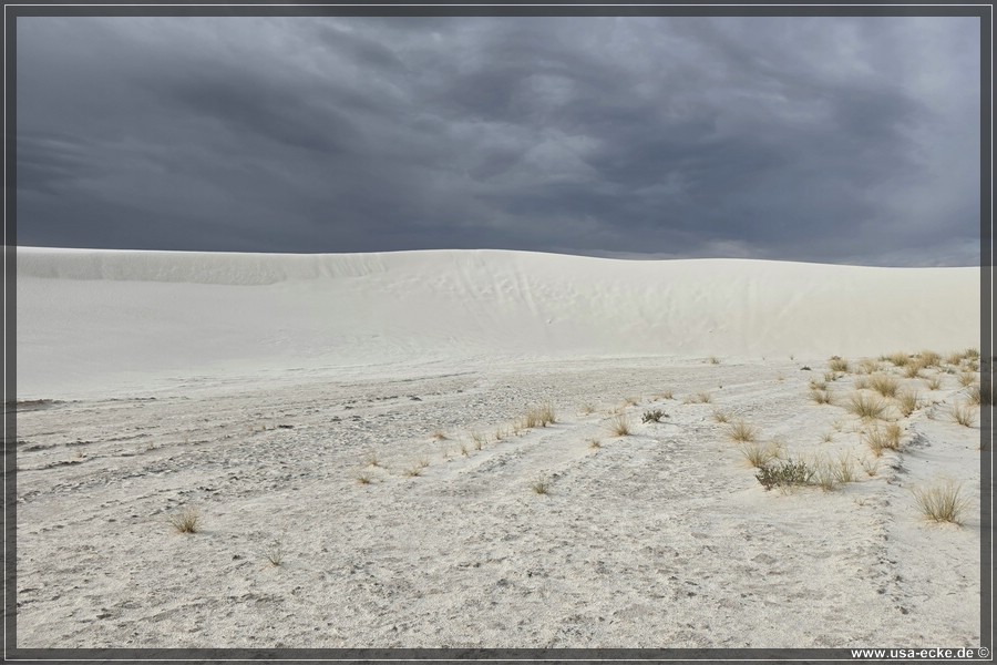 White_Sands_2026_061