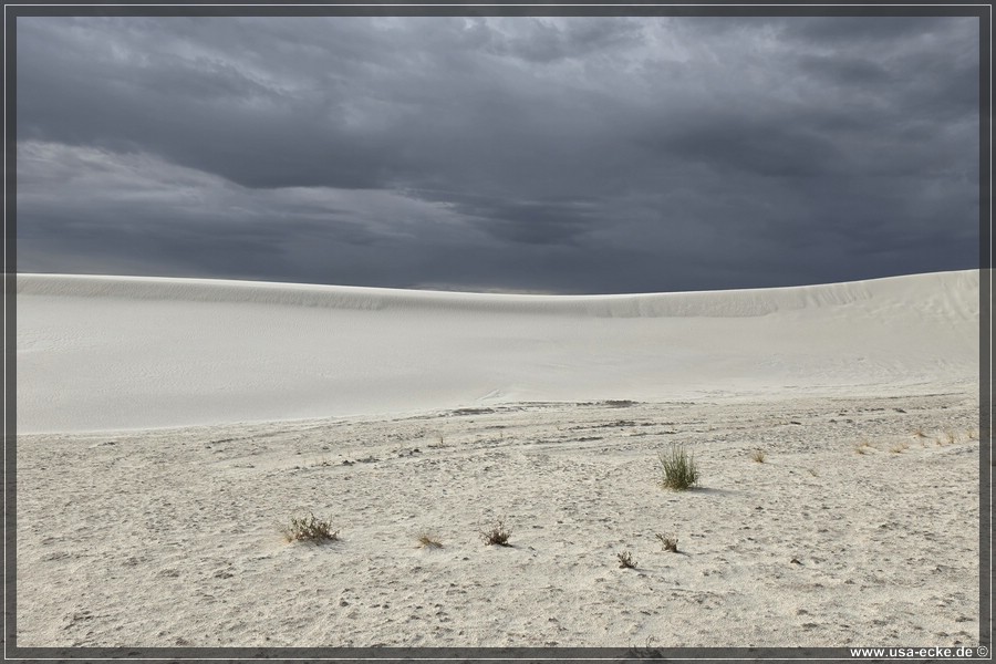 White_Sands_2026_063