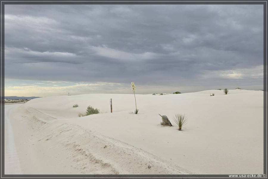 White_Sands_2026_067