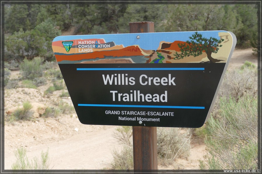 Willis_Creek_2025_003