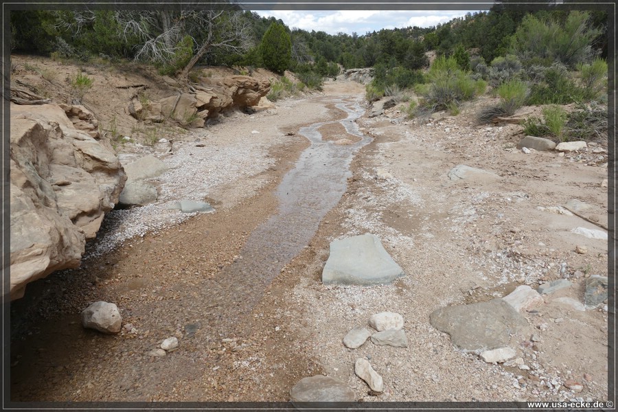 Willis_Creek_2025_004