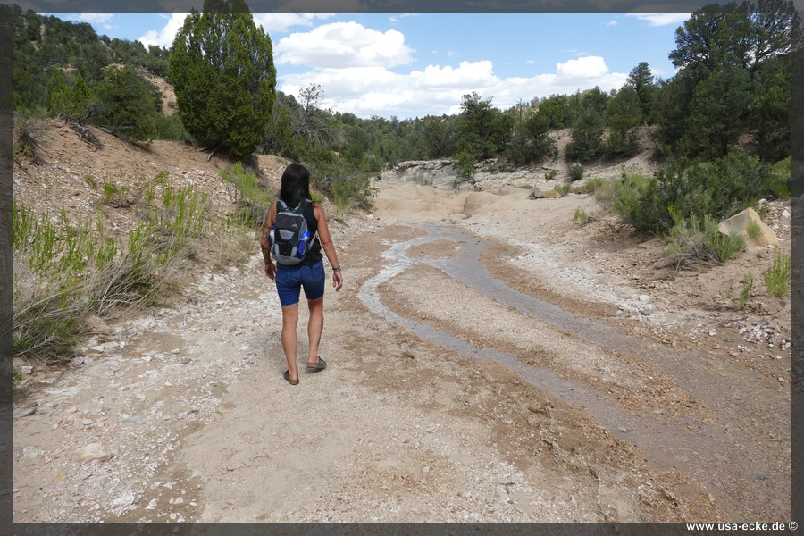 Willis_Creek_2025_005