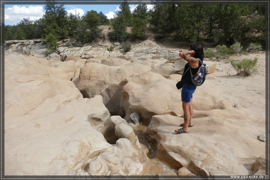 Willis_Creek_2025_006