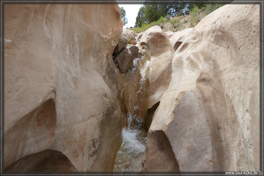 Willis_Creek_2025_007
