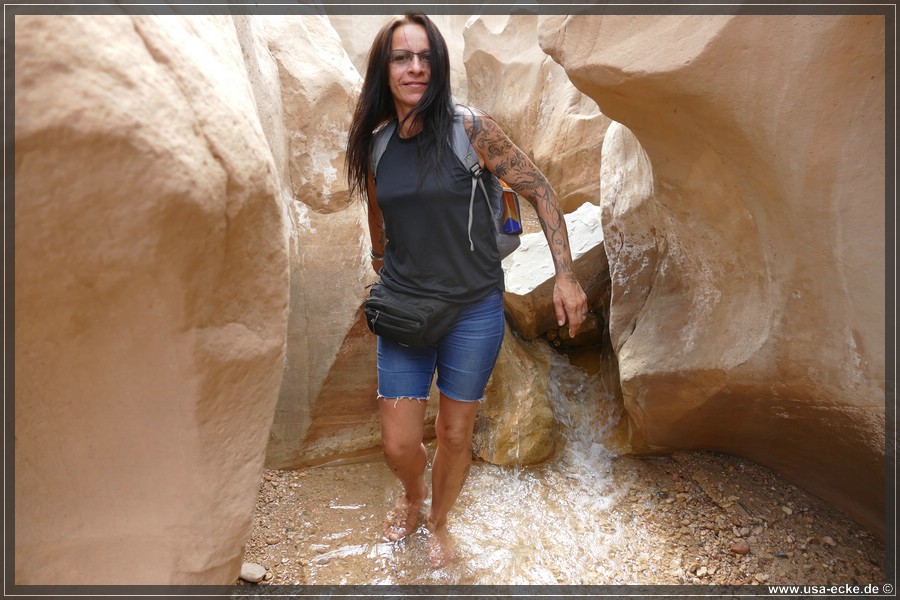 Willis_Creek_2025_009