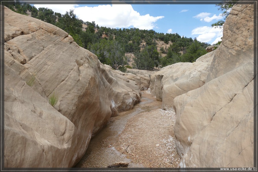 Willis_Creek_2025_010